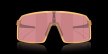 náhled Unisex sportovní brýle OAKLEY SUTRO